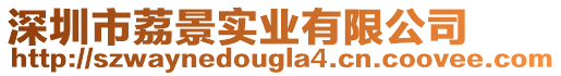 深圳市荔景實業有限公司