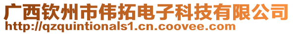 廣西欽州市偉拓電子科技有限公司