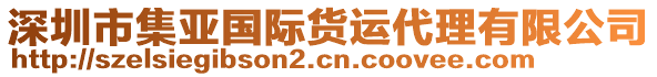 深圳市集亞國際貨運代理有限公司