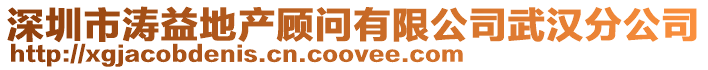 深圳市濤益地產顧問有限公司武漢分公司