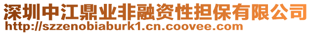 深圳中江鼎業(yè)非融資性擔(dān)保有限公司