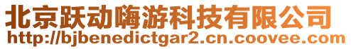 北京躍動嗨游科技有限公司