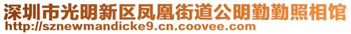 深圳市光明新區(qū)鳳凰街道公明勤勤照相館