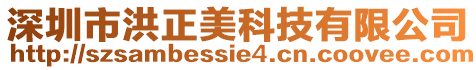 深圳市洪正美科技有限公司