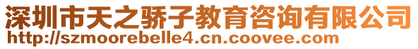 深圳市天之驕子教育咨詢有限公司