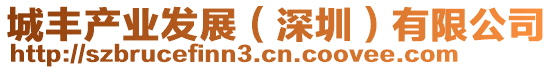 城豐產(chǎn)業(yè)發(fā)展（深圳）有限公司