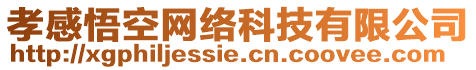 孝感悟空網(wǎng)絡(luò)科技有限公司