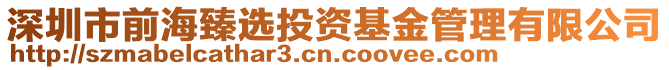 深圳市前海臻選投資基金管理有限公司