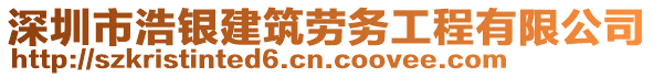 深圳市浩銀建筑勞務工程有限公司