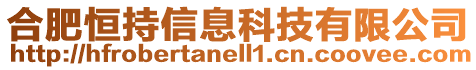 合肥恒持信息科技有限公司