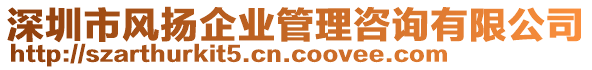 深圳市風(fēng)揚企業(yè)管理咨詢有限公司