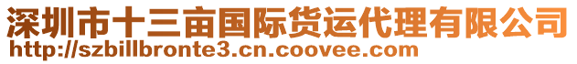 深圳市十三畝國際貨運代理有限公司