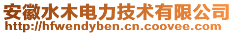 安徽水木電力技術有限公司
