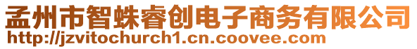 孟州市智蛛睿創(chuàng)電子商務(wù)有限公司