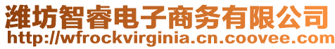 濰坊智睿電子商務(wù)有限公司