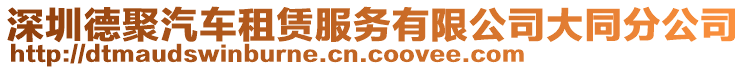 深圳德聚汽車租賃服務(wù)有限公司大同分公司