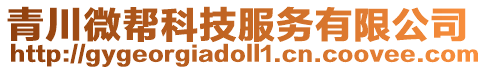 青川微幫科技服務有限公司