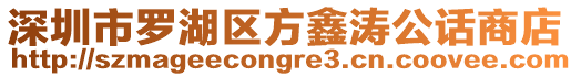 深圳市羅湖區(qū)方鑫濤公話商店