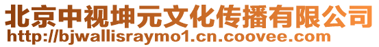 北京中視坤元文化傳播有限公司