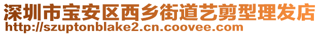 深圳市寶安區(qū)西鄉(xiāng)街道藝剪型理發(fā)店