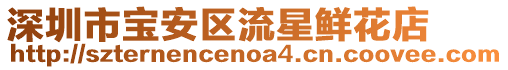 深圳市寶安區流星鮮花店