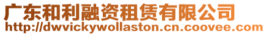 廣東和利融資租賃有限公司