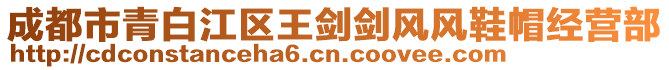 成都市青白江區(qū)王劍劍風(fēng)風(fēng)鞋帽經(jīng)營(yíng)部