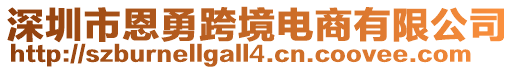 深圳市恩勇跨境電商有限公司