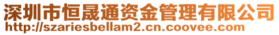 深圳市恒晟通資金管理有限公司