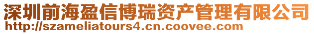 深圳前海盈信博瑞資產(chǎn)管理有限公司