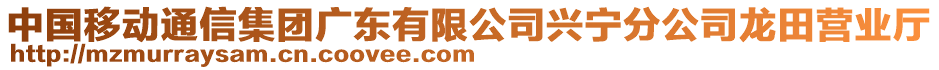 中國(guó)移動(dòng)通信集團(tuán)廣東有限公司興寧分公司龍?zhí)餇I(yíng)業(yè)廳