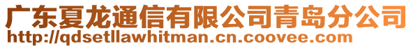 广东夏龙通信有限公司青岛分公司