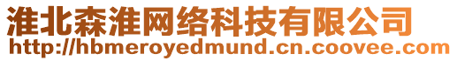 淮北森淮網(wǎng)絡(luò)科技有限公司