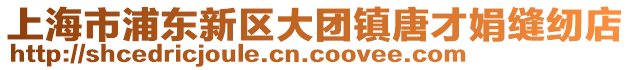 上海市浦東新區(qū)大團(tuán)鎮(zhèn)唐才娟縫紉店