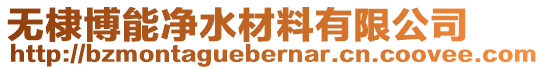 無棣博能凈水材料有限公司
