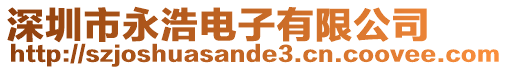 深圳市永浩電子有限公司