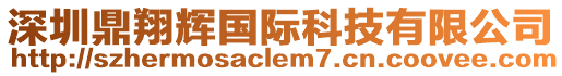 深圳鼎翔輝國(guó)際科技有限公司