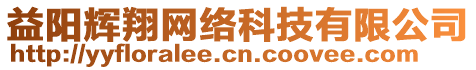 益陽輝翔網(wǎng)絡(luò)科技有限公司