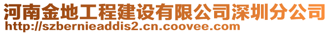 河南金地工程建設(shè)有限公司深圳分公司