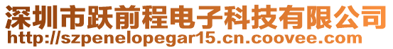 深圳市躍前程電子科技有限公司
