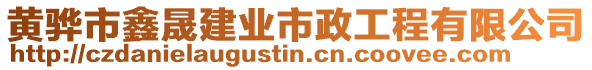 黃驊市鑫晟建業(yè)市政工程有限公司