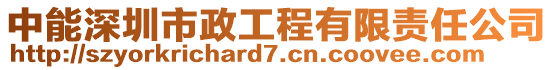 中能深圳市政工程有限責(zé)任公司