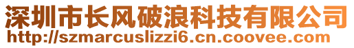 深圳市長風(fēng)破浪科技有限公司