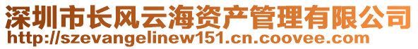 深圳市長(zhǎng)風(fēng)云海資產(chǎn)管理有限公司