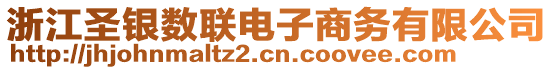 浙江圣銀數(shù)聯(lián)電子商務(wù)有限公司