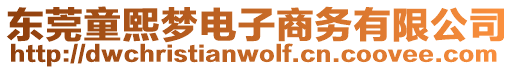 東莞童熙夢電子商務(wù)有限公司