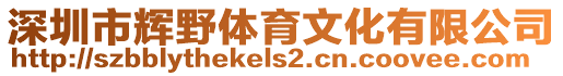 深圳市輝野體育文化有限公司