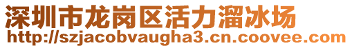 深圳市龍崗區(qū)活力溜冰場