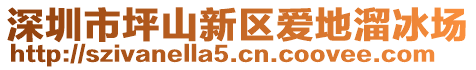 深圳市坪山新區(qū)愛地溜冰場