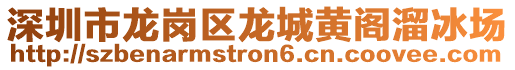 深圳市龍崗區(qū)龍城黃閣溜冰場(chǎng)